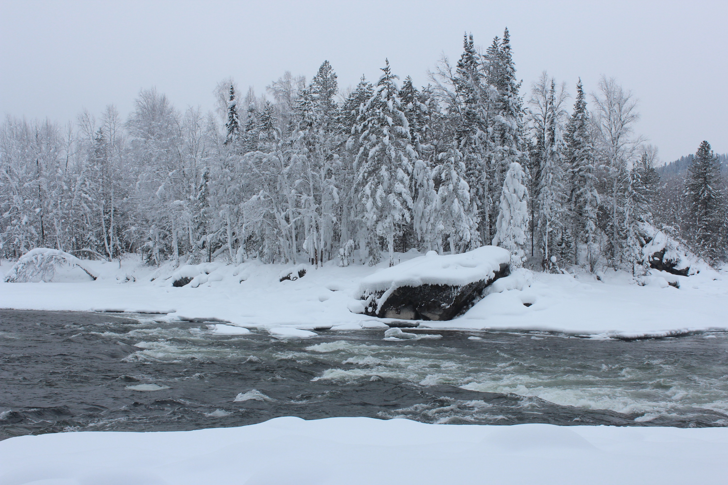 Какая привела сюда. Не заходи сюда картинка. Какая привела сюда. Анекдот про туда сюда. Просьба не зовите меня мем.