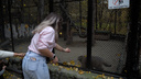 Как наказывали журналистку НГС: видео из зоопарка, где бревно избивает Настю, которая трогала манула