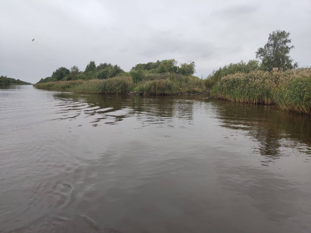 Рыбаку на надувной лодке разорвало лицо от столкновения с металлической в Новоладожском  канале | 05.09.2023 | Санкт-Петербург - БезФормата