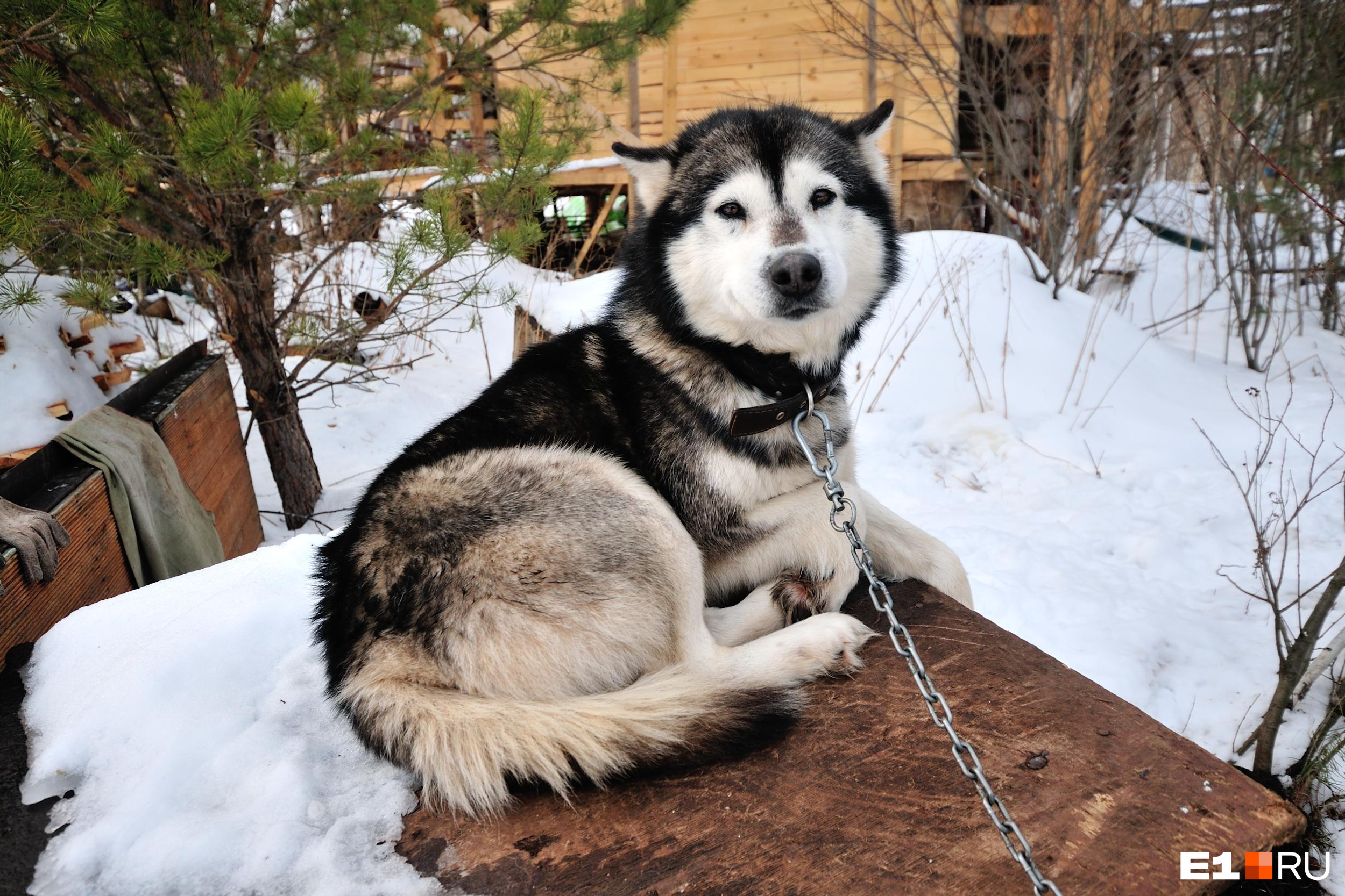 нашла гвоздь дома