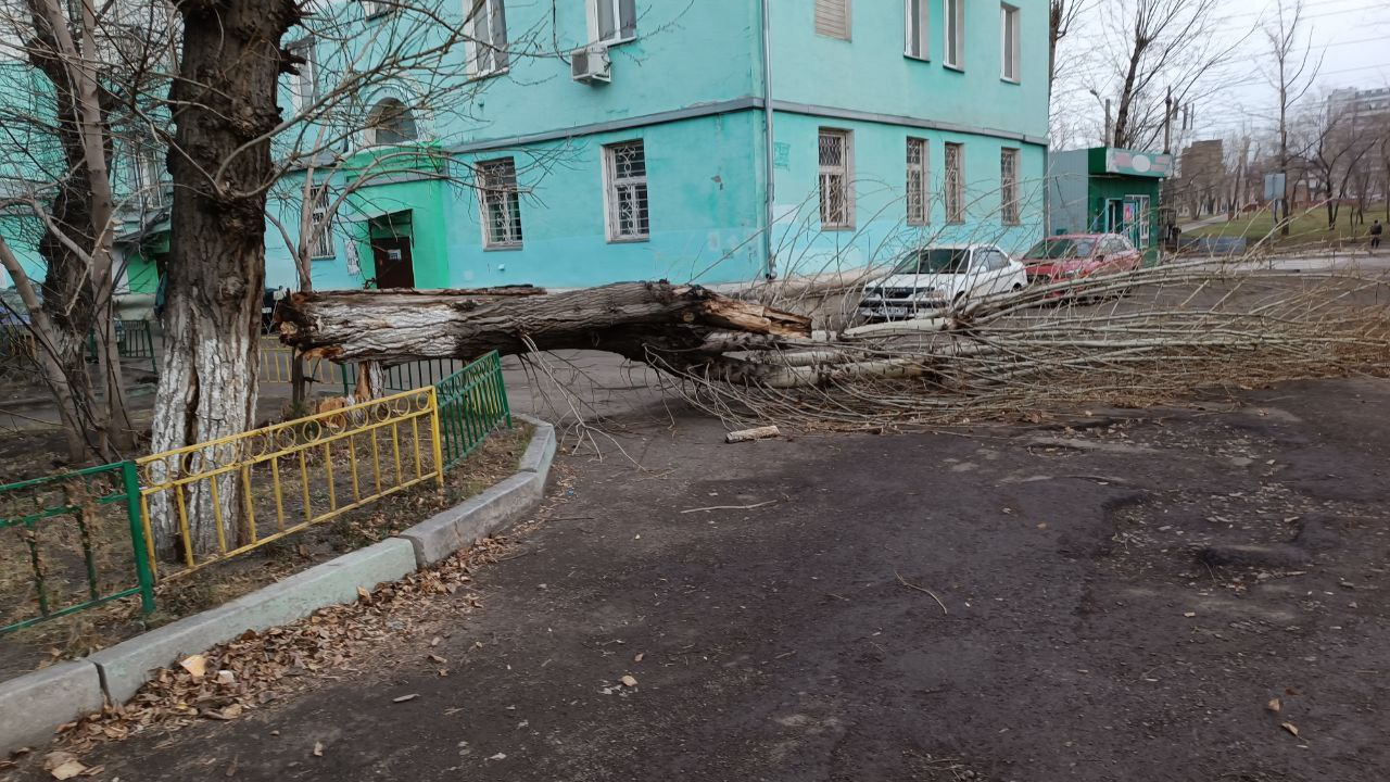 Из-за урагана часть жителей Красноярска остались без света до утра. Публикуем адреса