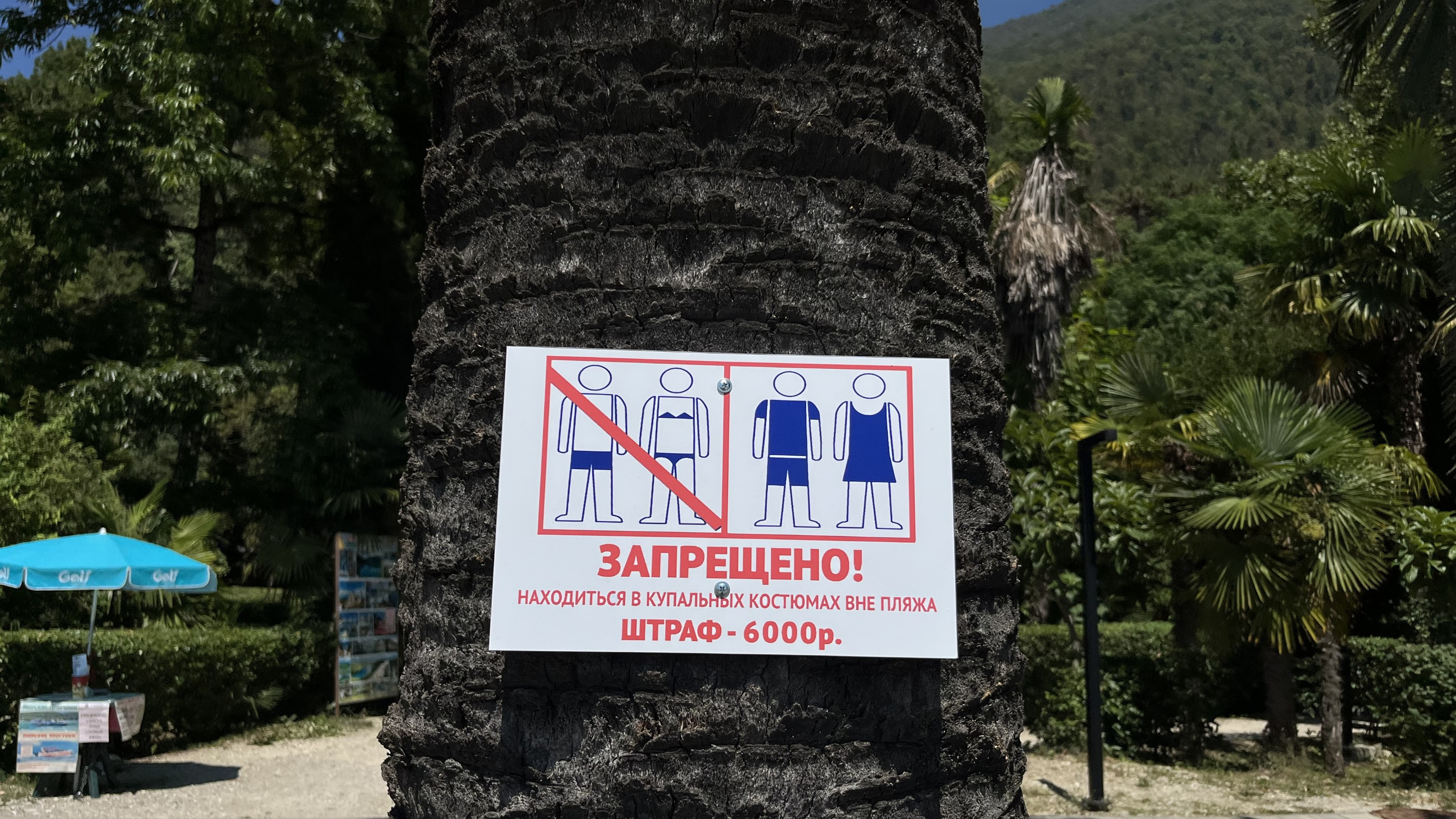 Не только одели, но и «обули». Российские туристы рассказали, как их штрафовали в Абхазии за «непотребный внешний вид»