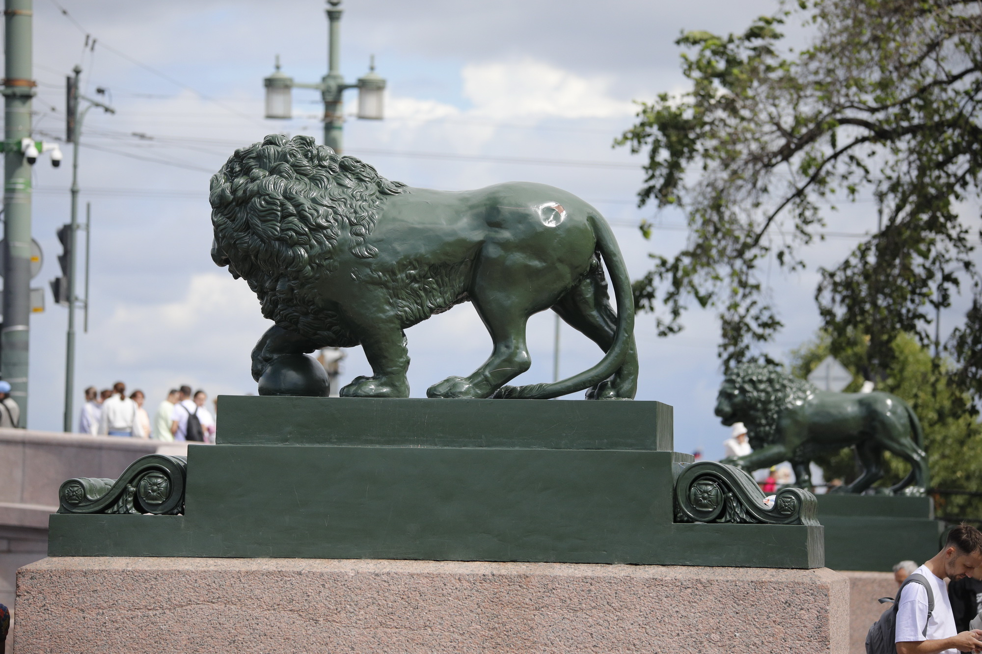 В Петербурге снова напали на львов. Лечить их будут за бюджетные деньги