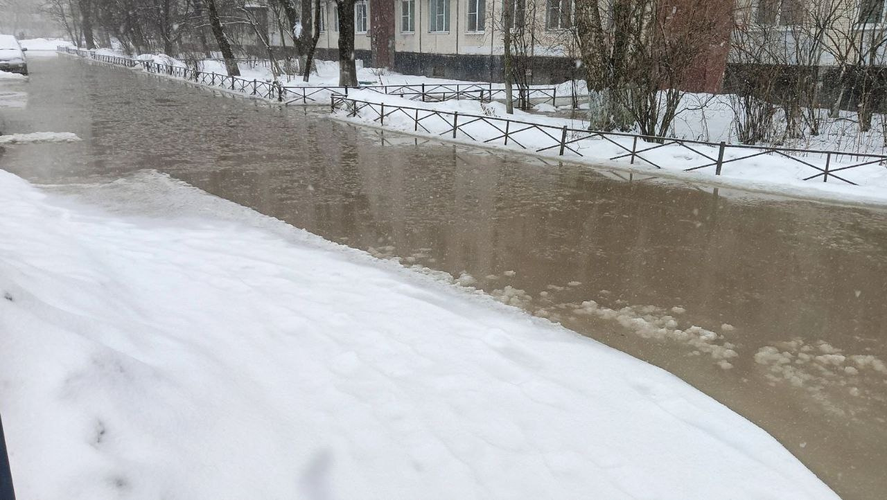 Реки разлились во дворе на Летчика Пилютова. Во время работ там пробили  трубу | 14.02.2024 | Санкт-Петербург - БезФормата