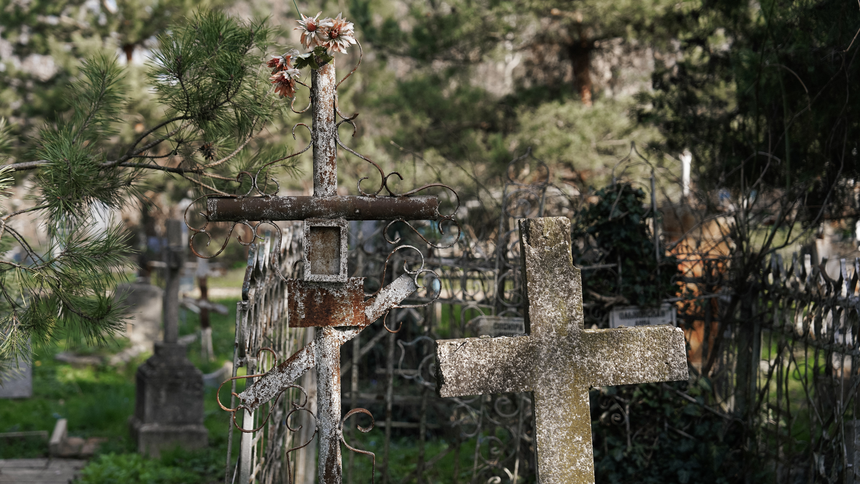 Лес крестов. Как выглядит Всесвятское кладбище в Краснодаре