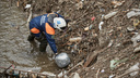 Диско-шар среди мусора: спасатели в Новосибирске все утро чистили реку — фото с Ельцовкой