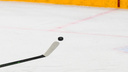 Хоккеист скончался во время матча под Новосибирском