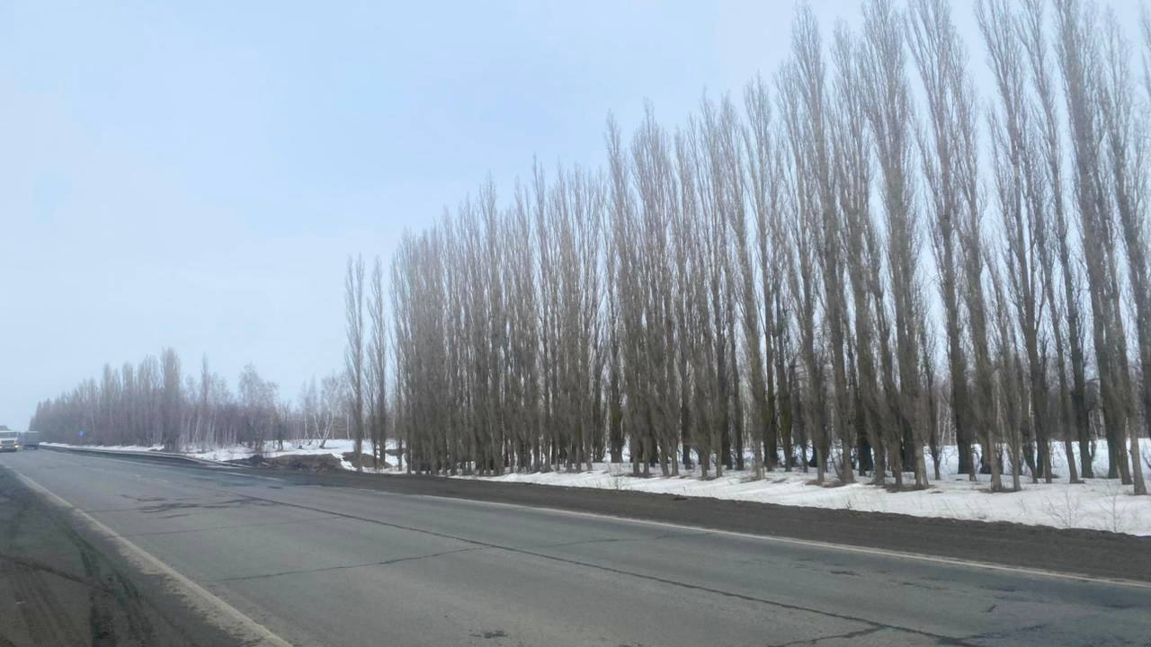 Высадил подростка на мороз: водитель маршрутки Саратов — Петровск заплатит штраф