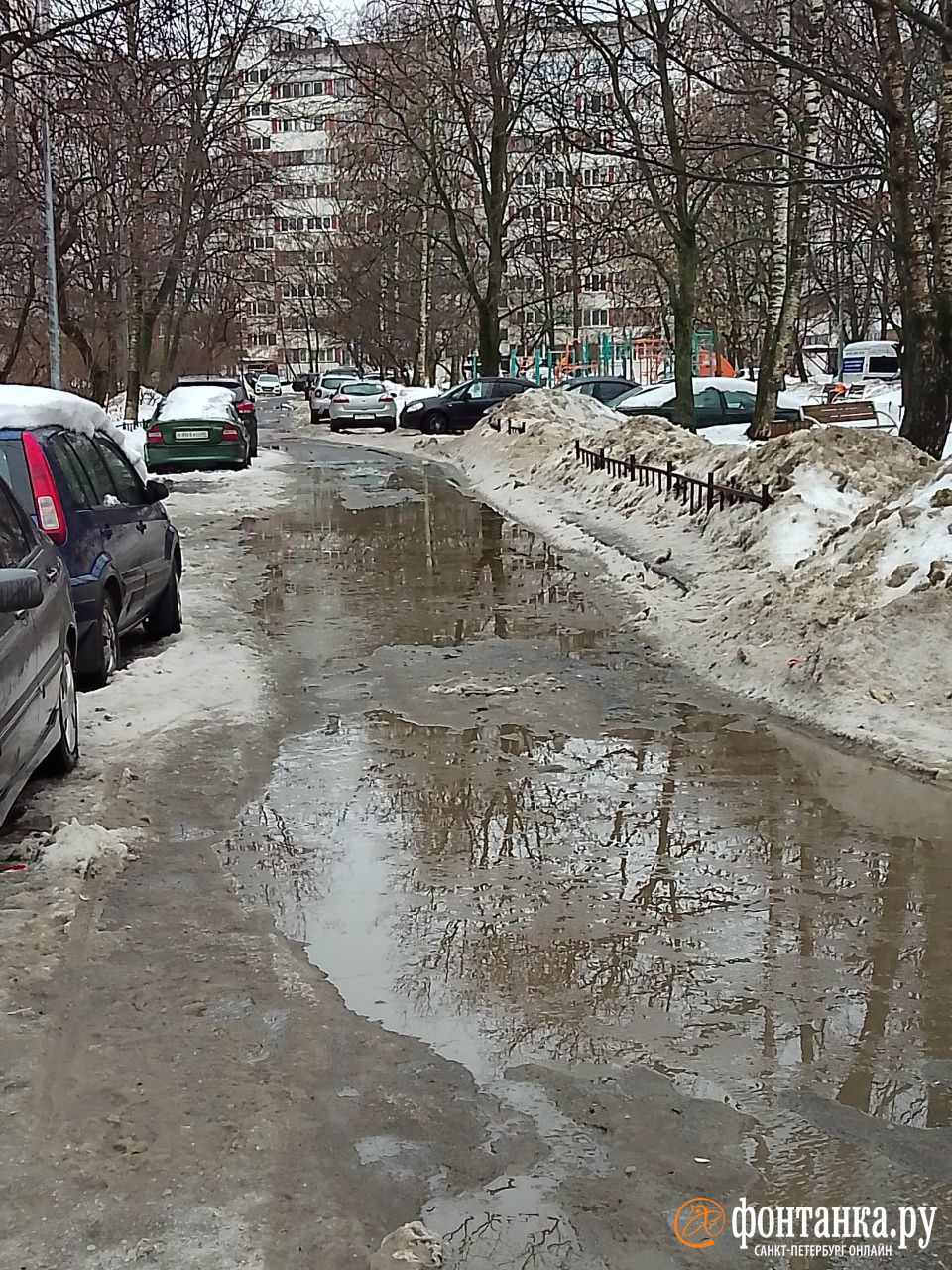 Почему во время оттепели в Петербурге не уходят в канализацию лужи - 24  января 2024 - Фонтанка.Ру