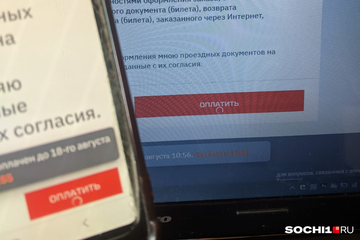 Кнопка «оплатить» зависает, а потом выдает неизвестную ошибку Кнопка «оплатить» зависает, а потом выдает неизвестную ошибку
