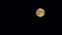 «Видимость всего два часа»: в ночь на <nobr class="_">1 августа</nobr> над Ярославлем выглянет «осетровая» луна, притягивающая деньги