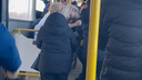 Вцепилась в волосы: в Новосибирске кондуктор и пассажирка устроили потасовку в автобусе — видео