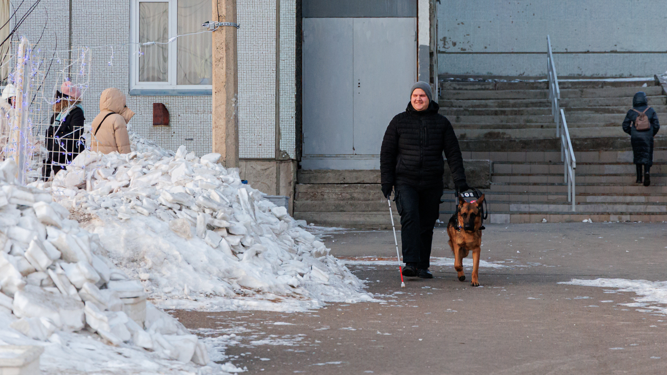 Слепого инвалида выгнали из красноярского кафе из-за собаки-поводыря. Как еще его притесняли