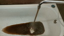 «Потекла серого цвета жижа»: жители Заволги пожаловались, что больше полугода живут с тухлой водой