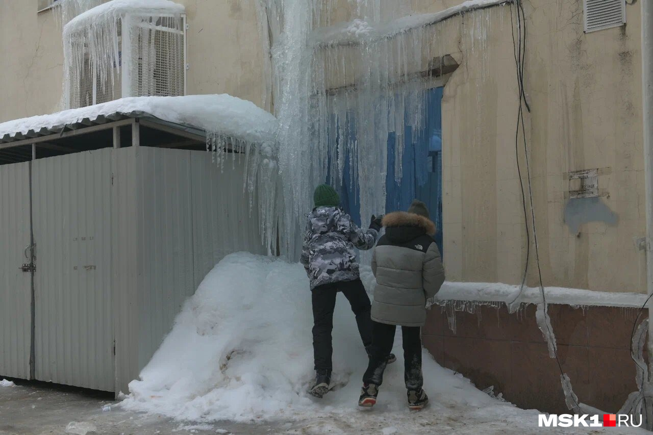 Зоо фаллосы – фаллоимитаторы животных в Кинешме