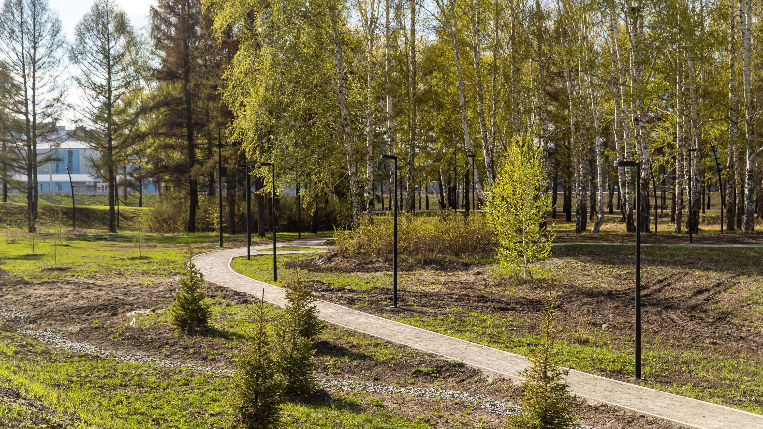 Жители Новосибирска могут поучаствовать в его озеленении — как это сделать