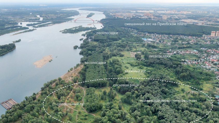 Острог на острове, кемпинг и судоверфь. В Новосибирске появится огромный парк на берегу Оби — показываем в картинках