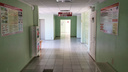 Медсестер, ставших врачами в Дубовской ЦРБ, «отстранили от работы» — источник