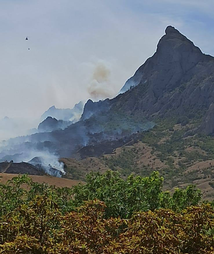 В Коктебеле горят гектары сухостоя. Пожар распространился на Карадагский заповедник