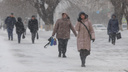 Будет снегопад: синоптики дали прогноз погоды на 8 Марта в Новосибирске