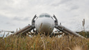 Новосибирцы выпустили магниты с севшим в поле самолетом