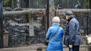 Конец зимы близко: зоопарк Новосибирска перешел на новый режим работы — когда его можно посетить