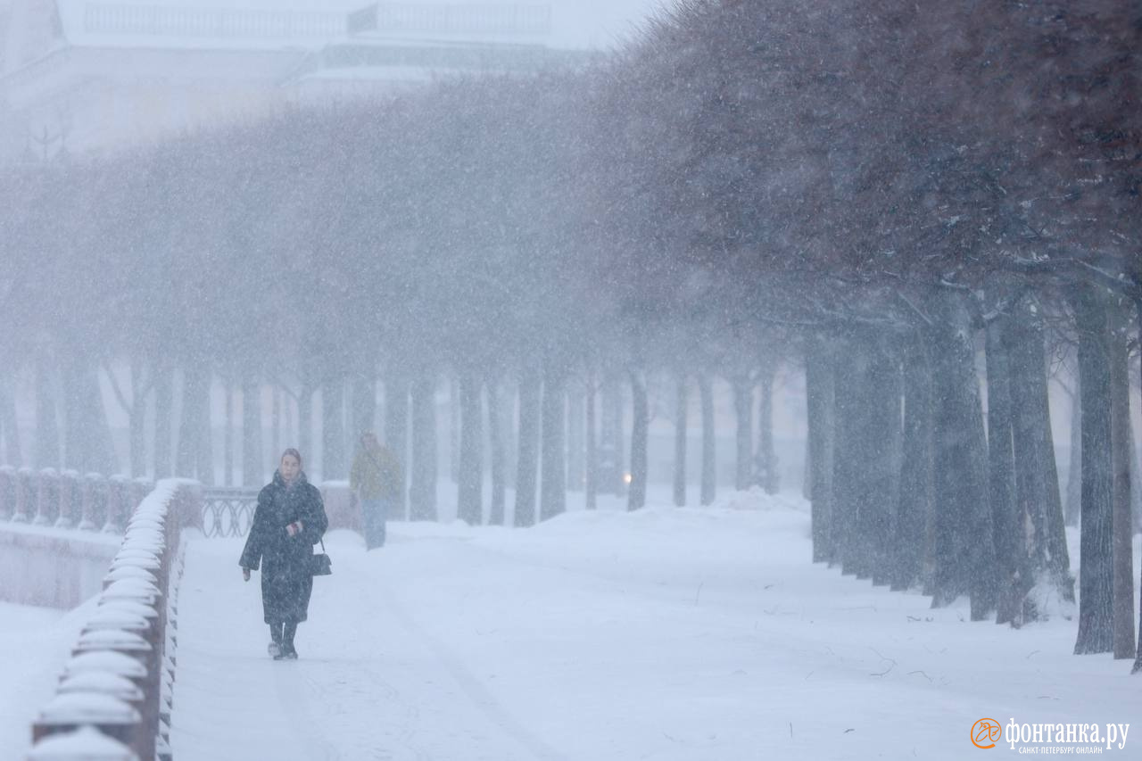 Метель в Петербурге 11 января - 11 января 2024 - ФОНТАНКА.ру