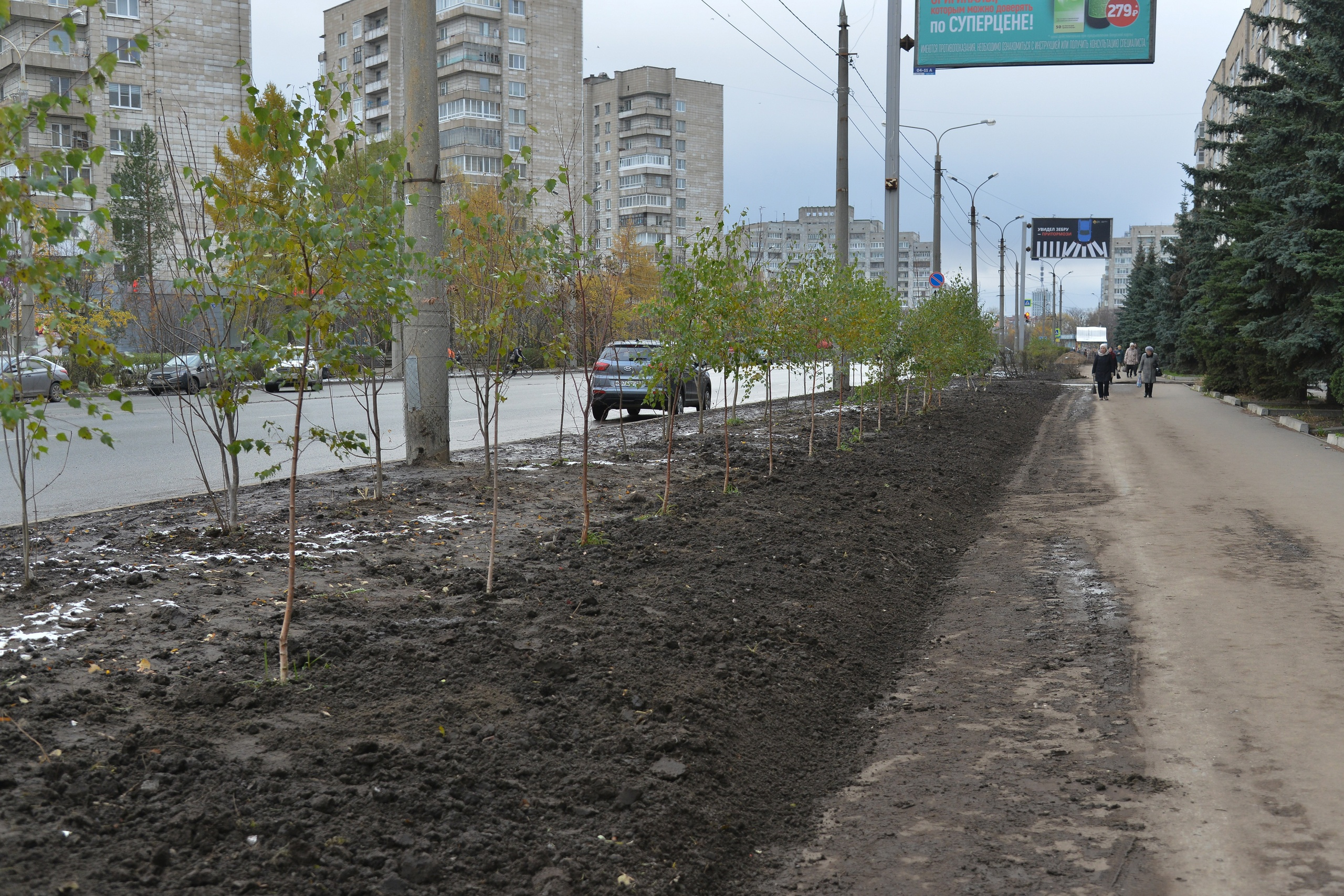 Власти Архангельска ответили горожанам, которых возмутило озеленение  Воскресенской | 23.11.2023 | Архангельск - БезФормата