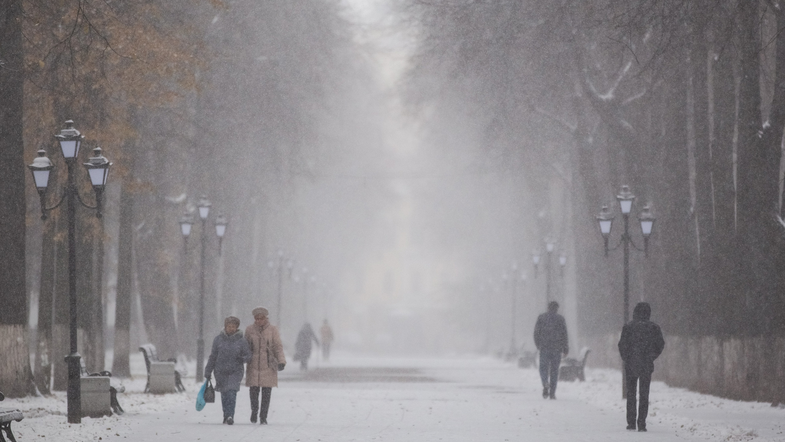 «Морозы усилятся»: Ярославль и Центральную Россию накроют зимние холода