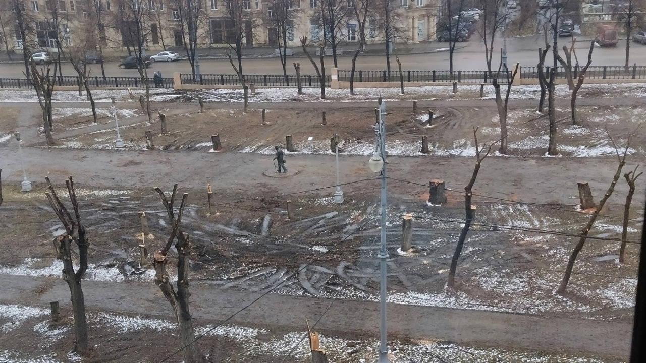«С молчаливого согласия убили сквер»: в Магнитогорске снесли два десятка деревьев — реакция жителей