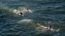 Мелкие царапины могут привести к трагедии: почему нельзя купаться на запрещенных пляжах?