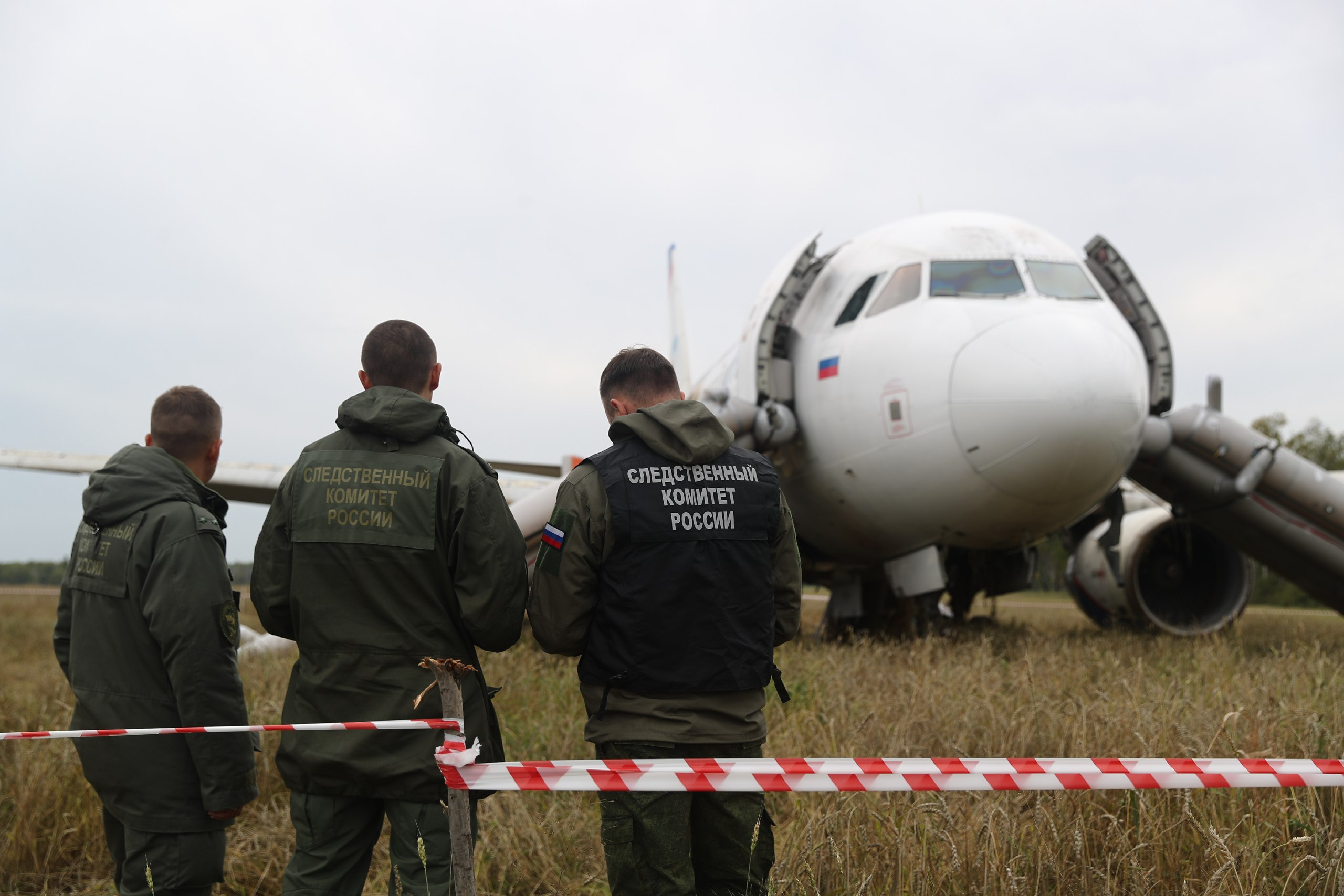 Все скажут: они не виноваты. Честно»: как самолет посадили в пшеничном поле  и что там происходит — впечатления пассажиров | 12.09.2023 | Архангельск -  БезФормата