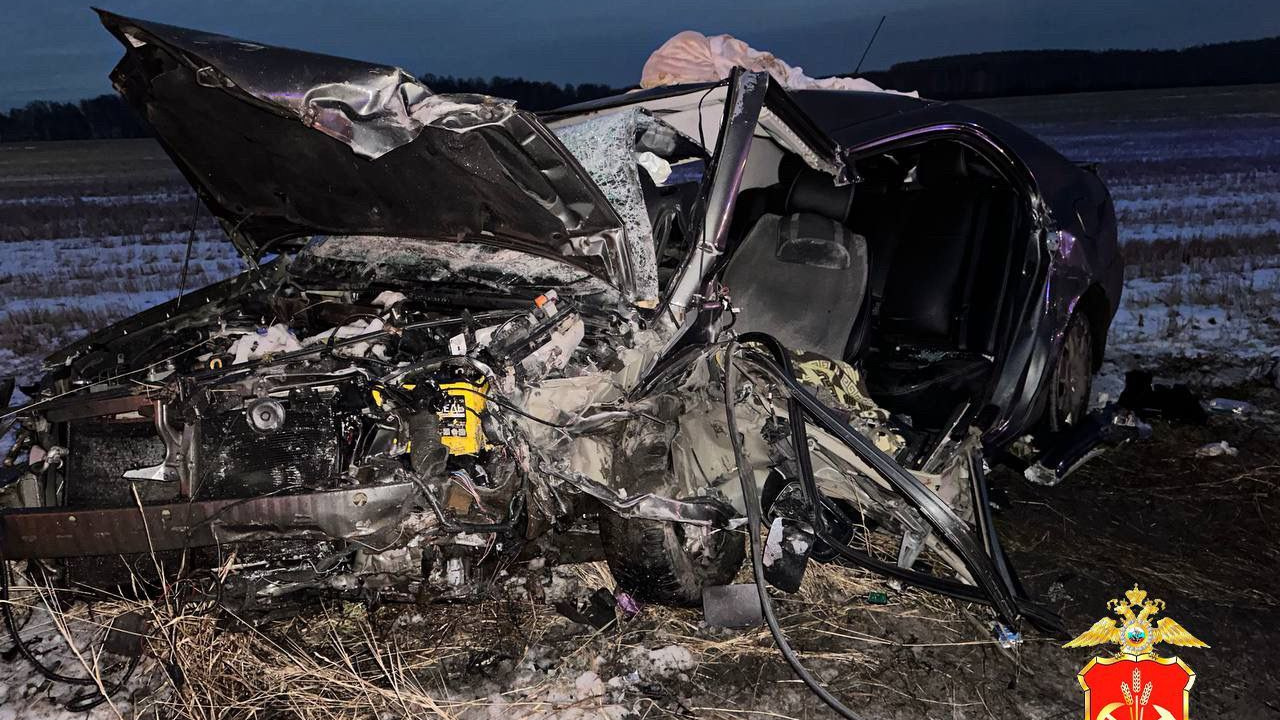 Пассажирка легковушки погибла в жесткой аварии на трассе в Кузбассе