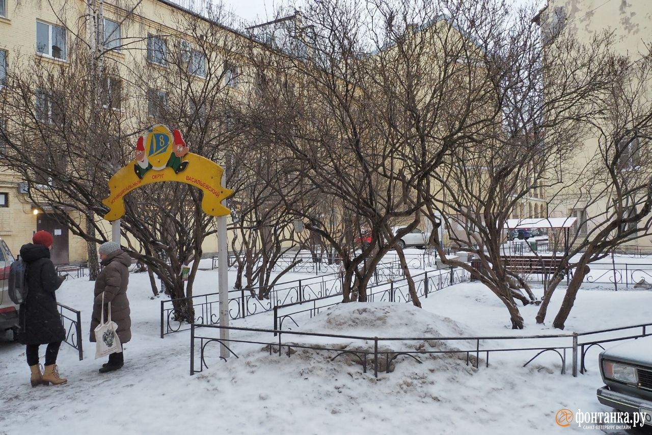 Кусты сирени, хранящие память о блокаде Ленинграда на Васильевском, могут  быть утрачены из-за благоустройства - 8 февраля 2024 - ФОНТАНКА.ру