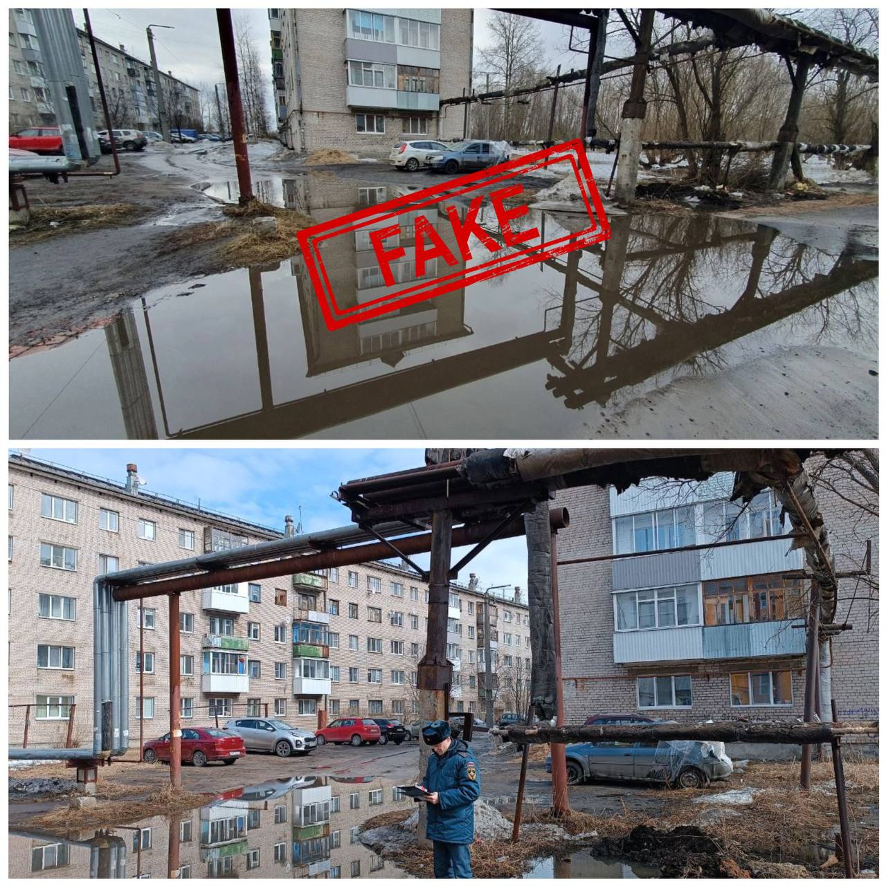 Не перепутайте фейковую лужу с настоящей! Не перепутайте фейковую лужу с настоящей!