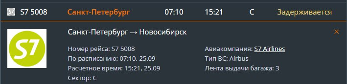 В Новосибирск самолет должен был прилететь в 7:10