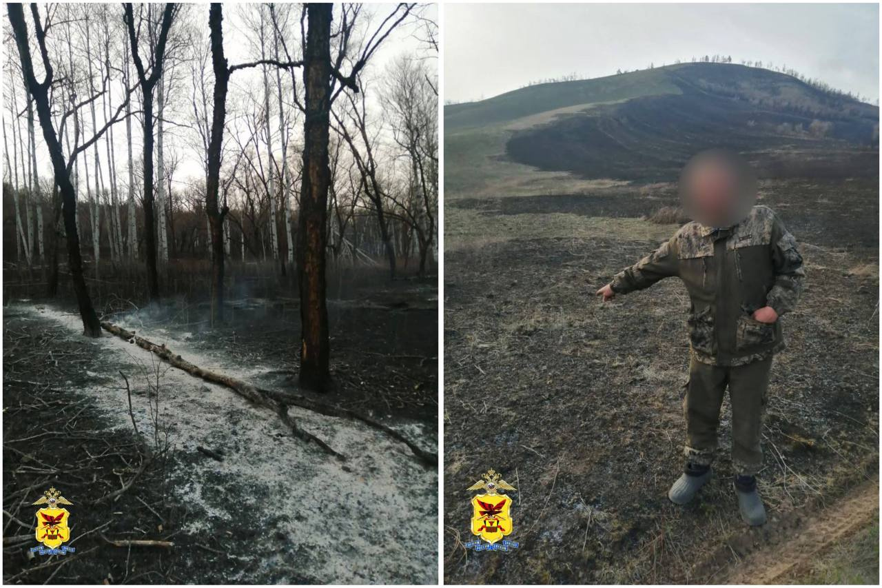 Мужчина в Забайкалье устроил лесной пожар, чтобы трава быстрее позеленела