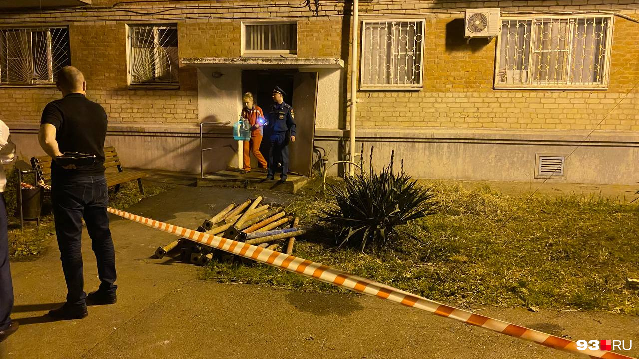 Женщине удалось вынести попугая из квартиры Женщине удалось вынести попугая из квартиры