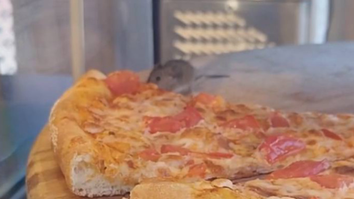 Жители Мурманска засняли в «Перекрестке» на Кирова мышь, поедающую пиццу