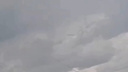 Появилось видео предположительного падения бомбардировщика <nobr class="_">Су-24М</nobr> под Волгоградом