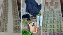 У жителя Академгородка отобрали сумку с 2,5 миллиона рублей — дома у подозреваемого нашли доллары и евро
