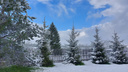 «С Новым годом, с первым снегом!»: в Ярославской области намело майские сугробы. Фоторепортаж