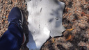 Голубев показал обломки сбитой украинской ракеты — фото