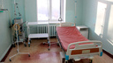 «Был укус клеща или просто наползание»: в новосибирской больнице умер ребенок