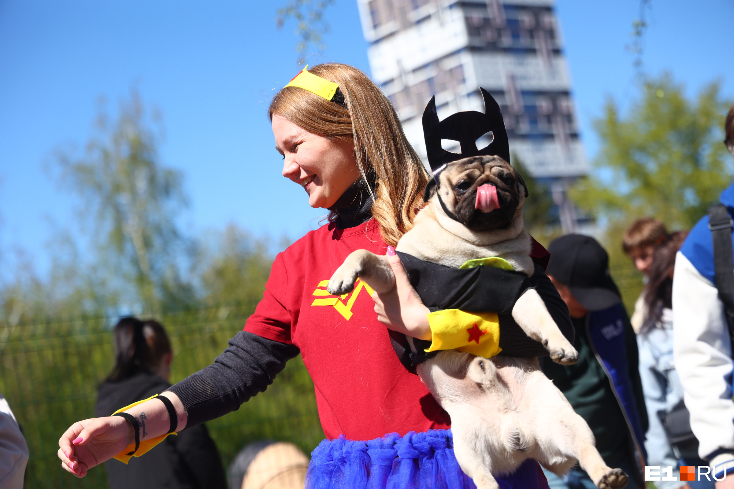 В Екатеринбурге устроили карнавал для мопсов. Невероятно ми-ми-мишный репортаж