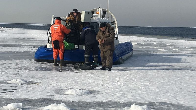 Во Владивостоке льдину с группой школьников унесло от берега