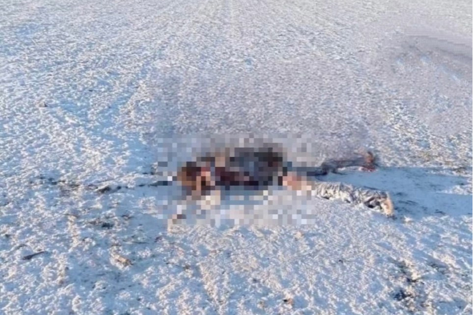 Летнее солнцестояние 2020. Дни равноденствия и солнцестояния в году. Сколько прошло с 22 июня 2022. Дни равноденствия и солнцестояния таблица 2020. Сколько прошло с 22 июня 2022.