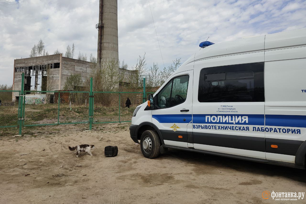 Фото и видео места взрыва у конноспортивного клуба в Павловске, воронка и  бетонная труба - 27 апреля 2023 - ФОНТАНКА.ру