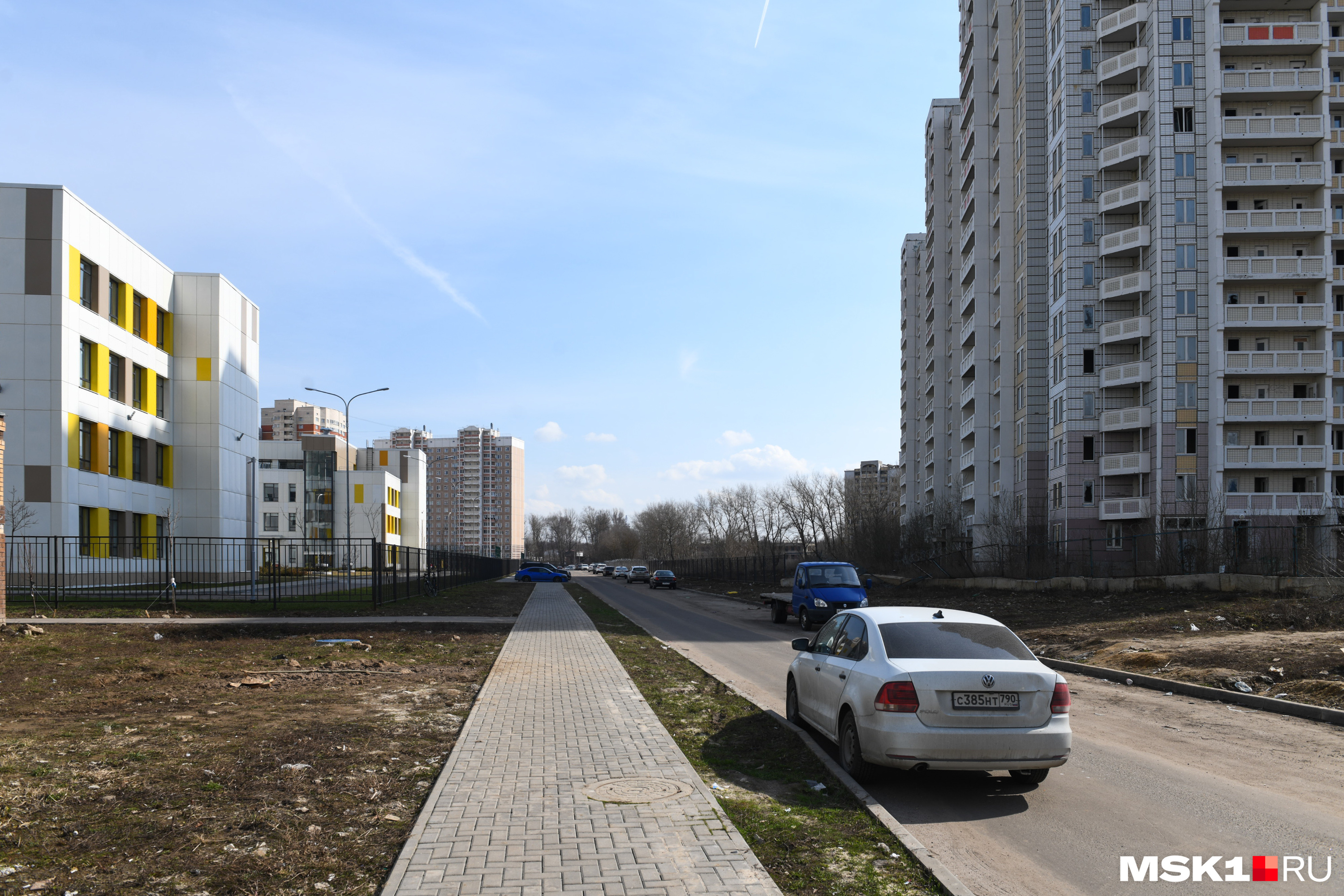 Подольск кузнечики