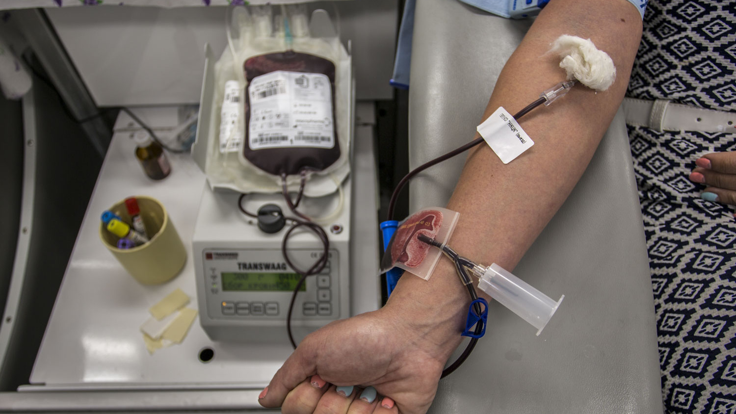 «Так крови вообще не будет»: донор из Новосибирска больше не хочет сдавать кровь — ее замучили правила
